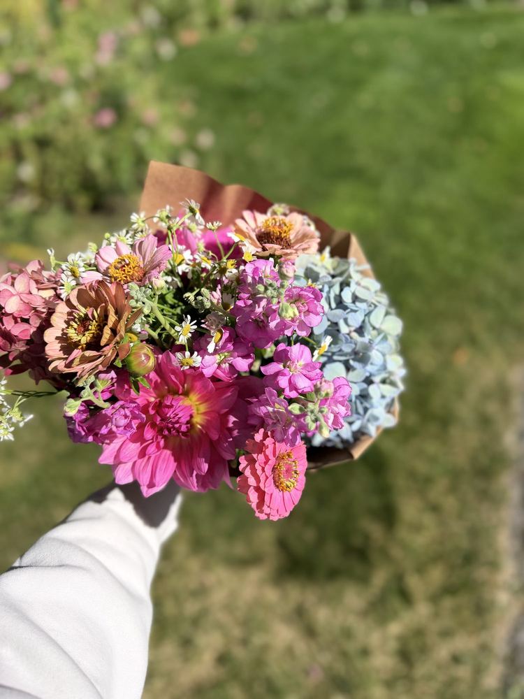A bright summer bouquet held over the lawn
